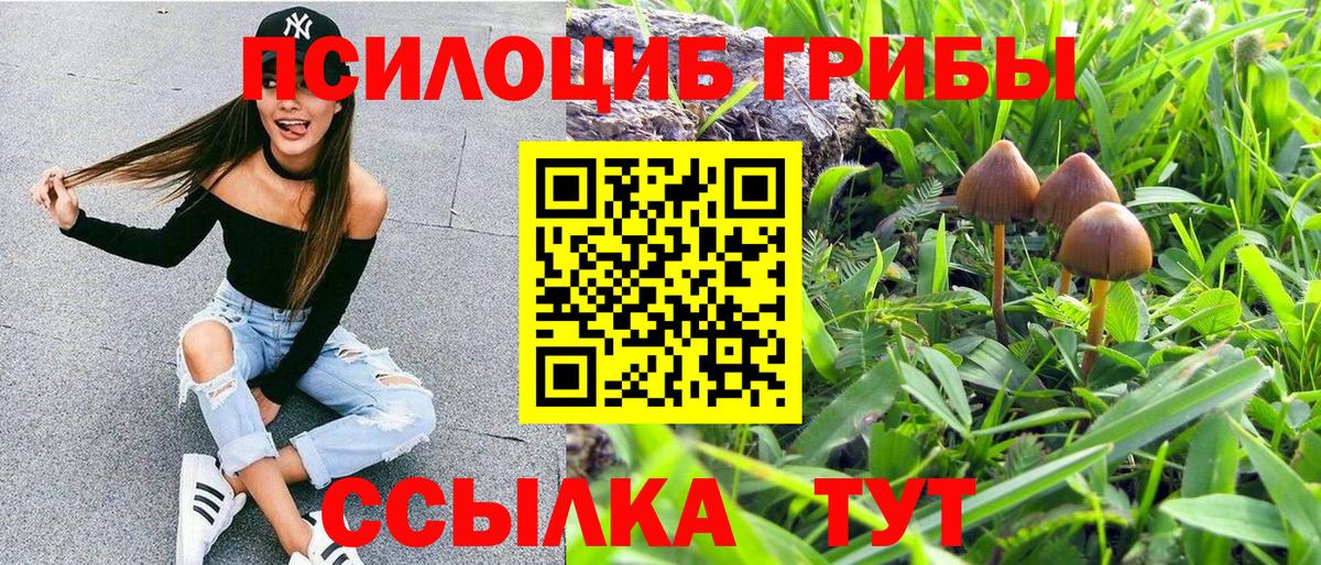 Псилоцибиновые грибы Psilocybe  Вход с VPN  где можно купить наркотик  Ленинск-Кузнецкий 